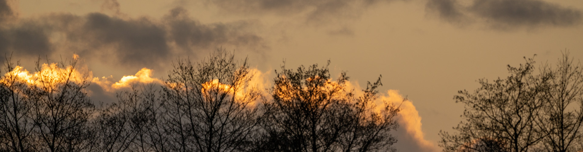 Second Responsive Image